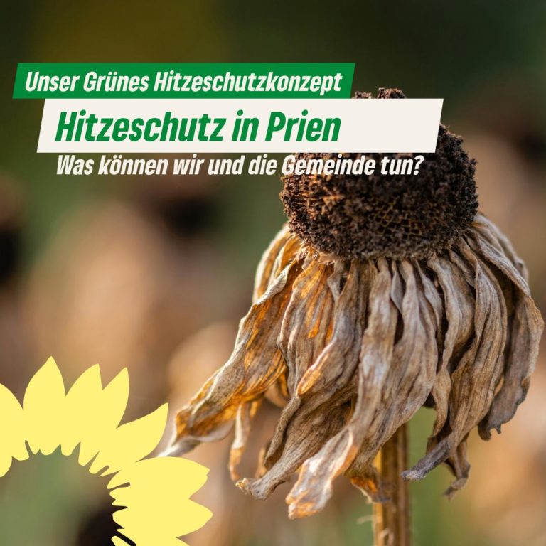 Grünes Hitzeschutzkonzept für Prien